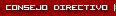 Consejo Directivo